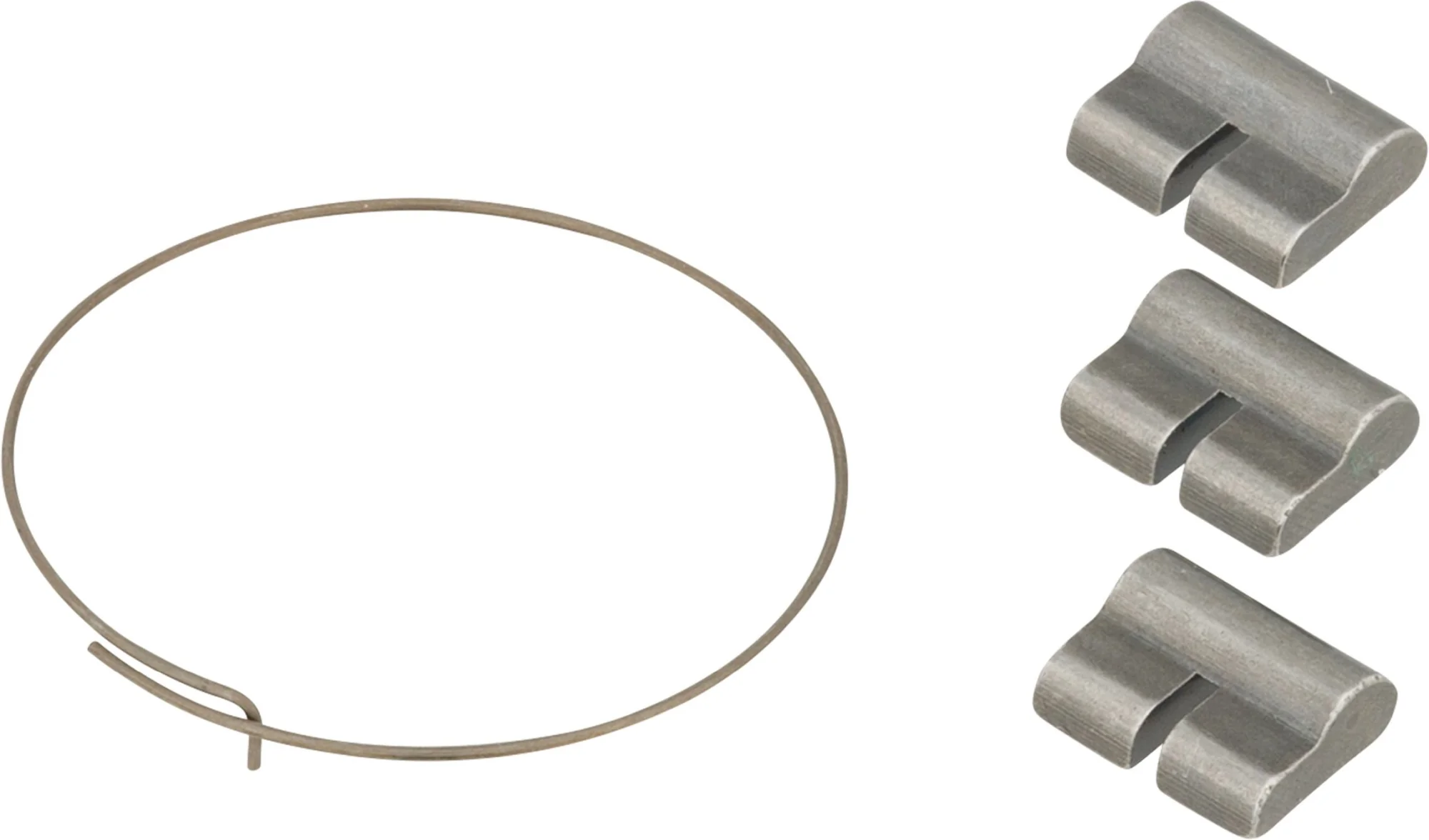 NEWMEN FREEHUB BODY PAWL SET INCL SPRING