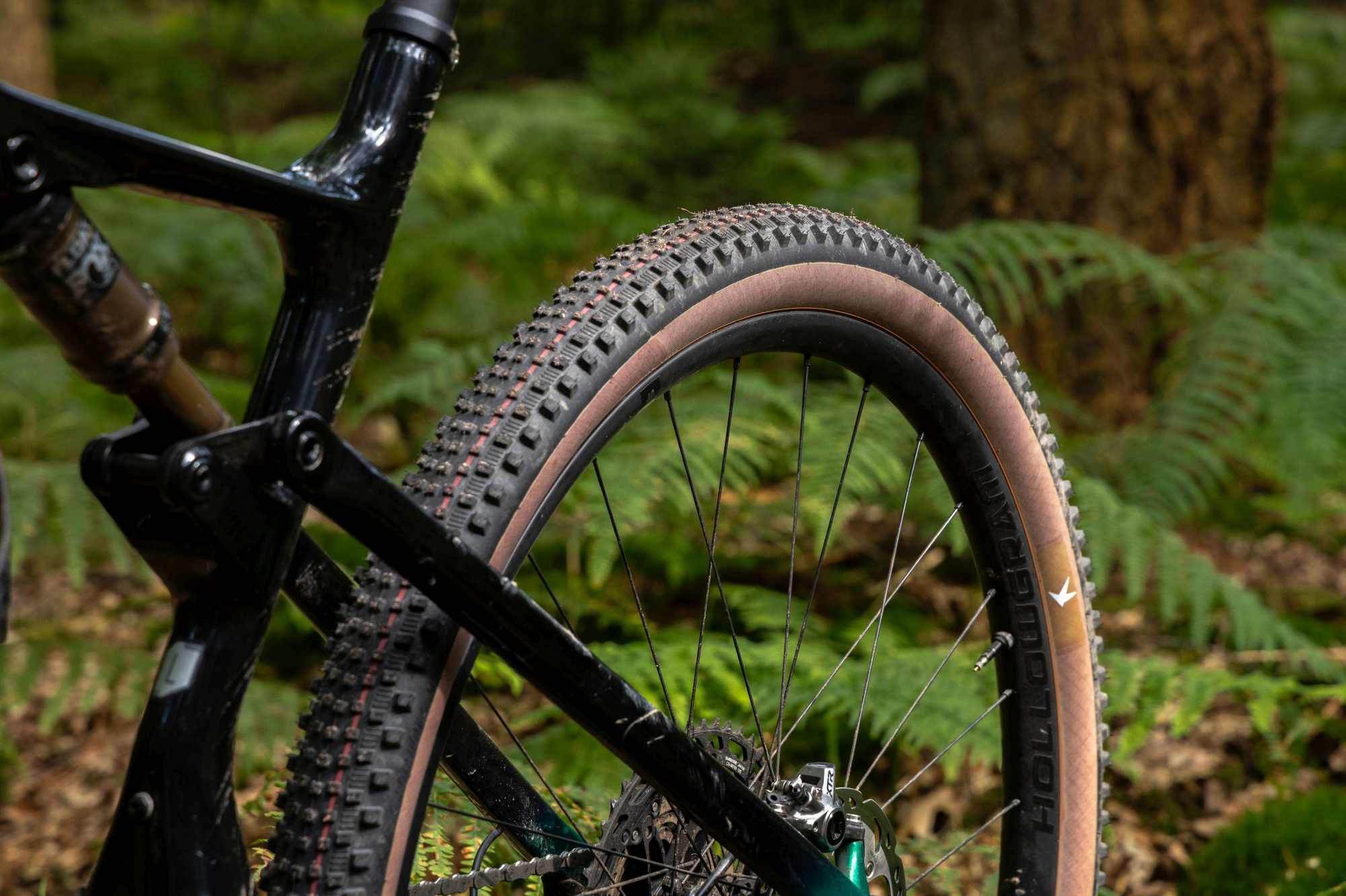 SCHWALBE RICK XC PRO EVO TLR SPEED TRANSPARENT SKIN 29X2.40 - Image 5
